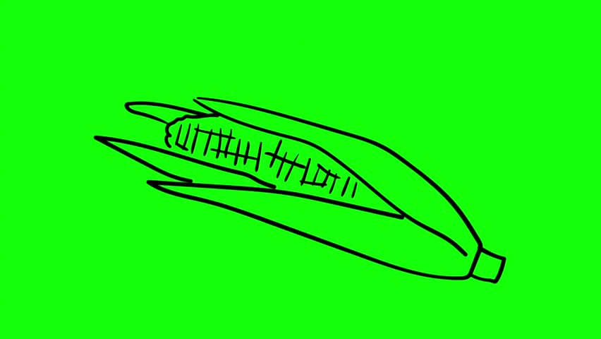 Animated object on a green background. drawn by hand. In the style of sketch.