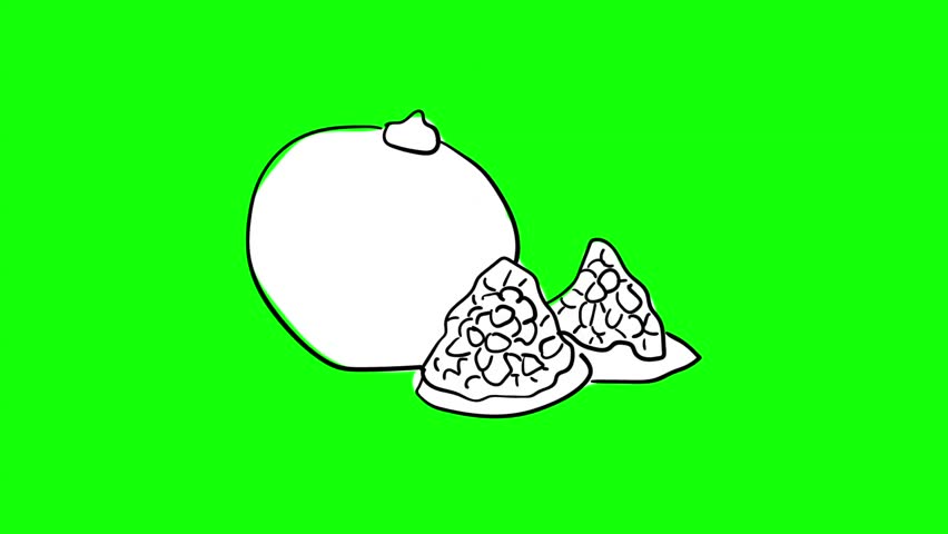 Animated object on a green background. drawn by hand. In the style of sketch.