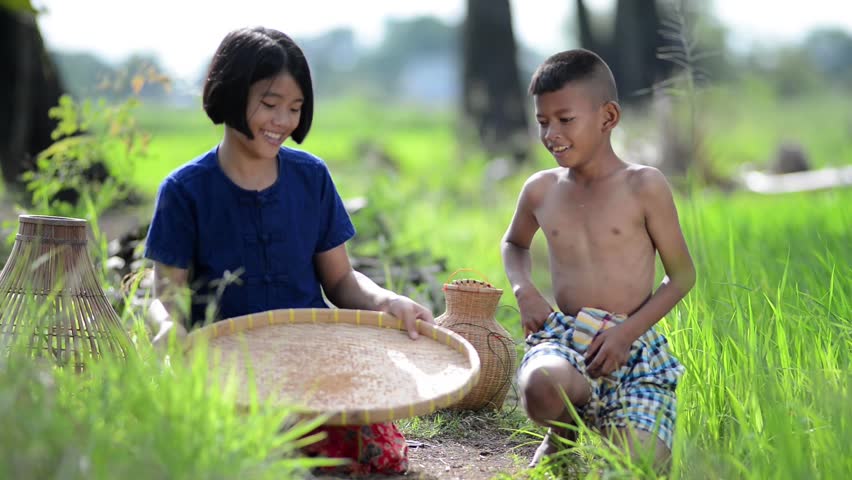 lifestyle of Southeast Asian people,Sister and brother farmer doing a rice threshing with old style of Thailand in the rice field countryside of Thailand. Agriculture and sufficient life concept. Royalty-Free Stock Footage #1013042813