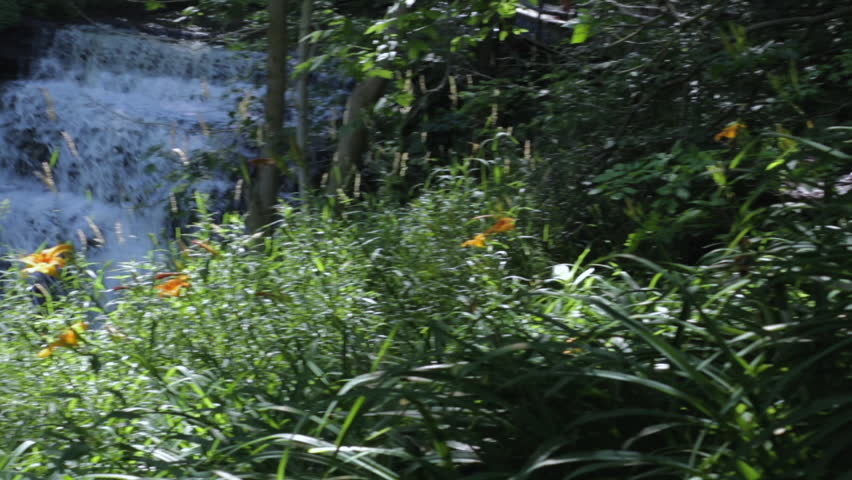 Secret waterfall in the jungle with long grass and flower. Beautiful view of rapid waterfall in a jungle environment. 