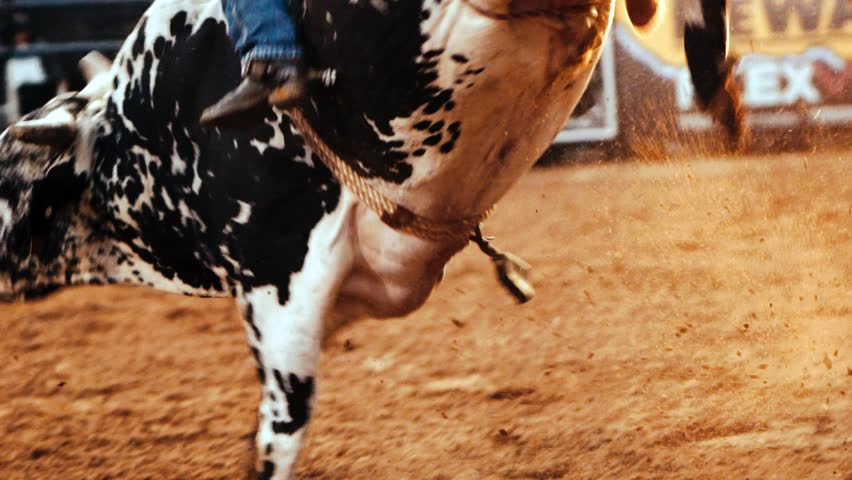 Slow Motion Bull Riding Dirt Flying Royalty-Free Stock Footage #1013107673