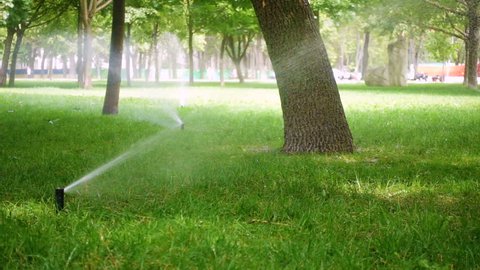 Grass sprinkler on meadow at the park
