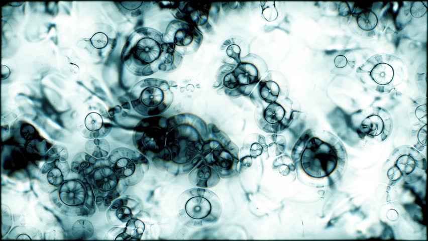 Biological and chemical scene in microscopic scale as an abstracted background Royalty-Free Stock Footage #1013143745