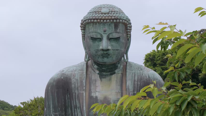 Famous Great Buddha in Kamakura 스톡 동영상 비디오(100% 로열티 프리) 1013148992 | Shutterstock