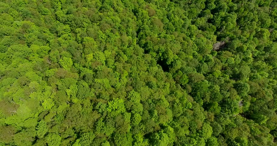 Great smoky mountains areal view