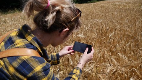 Young woman with mobile smart phone taking pictures of ripe wheat ears on the field for social media