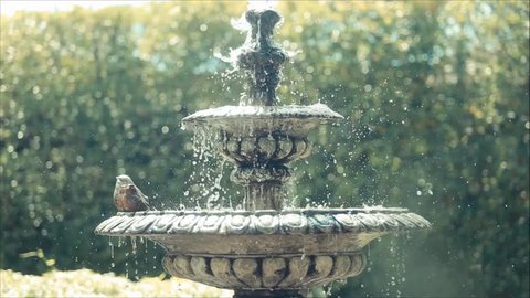 Beautiful fountain at sunrise in the park, vintage color