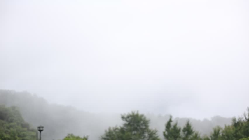 Woman in the mist of the forest rainy season.