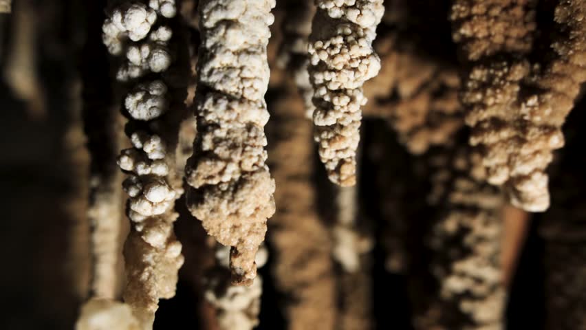 Cave stalactites macro
