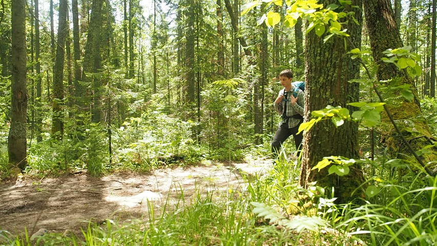 Young Active Teen Hiking Walking Forest Hiking Trail. Summer Vacation Trekking National Park Hiker Walking. 