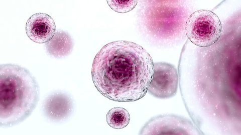 Stem Cells Immunotherapy Stem Cell floating freely 