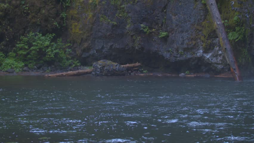 Slow-motion footage of a pool below Upper North Falls in Silver Falls State Park that flows towards the next water fall. Shot on a Blackmagic Ursa Mini Pro 4.6k with a Sigma 50-100mm f/1.8.