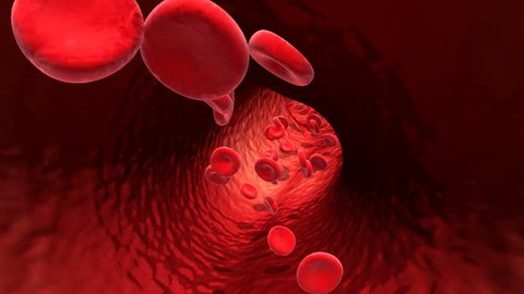 Blood cells traveling in a blood vessel