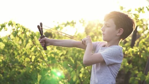 Slow motion a concentrated boy shooting wooden slingshot a pebble at a target against of a green vineyard in the summer at sunset on a sunny day.  A child plays in an active game for boys. Lens flare