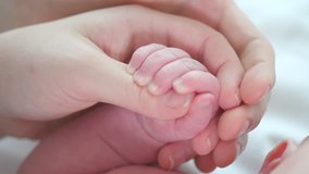 Family Baby Hands. Father and Mother Holding Newborn baby tiny hand. Child Hand Closeup into Parents hands together. Dad, mom and new born baby hands, New life, Love, adoption concept. 4K UHD video
