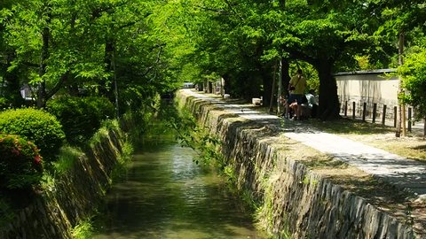 Kyoto, Japan: A pedestrian stone path follows a canal lined with cherry trees.  This path is commonly called the Philosopher's Path.