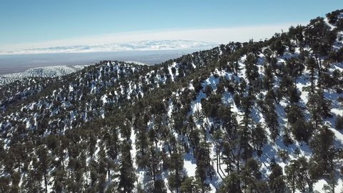 Aerial view of the snow-capped Atlas mountains covered with forest in Morocco at winter, 4k Video Stok