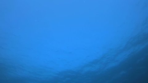 Underwater Blue Background. Picture of blue water background blue sea water and sea waves in the tropical reef of the Red Sea Dahab Egypt.