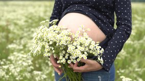 Pregnant woman with bouquet of camomile flowers.