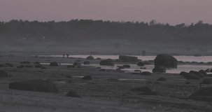 people on the stone and sandy beach near the sea in the evening
