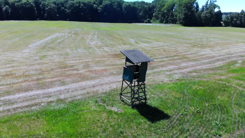 Round flight around a high seat for hunters on a meadow, Hessen, Germany