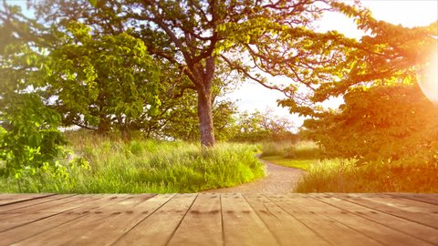 Park Table Wood Park Sunset Background Wooden Deck, Empty Green Space Background