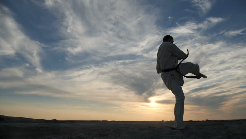 Man owns martial arts