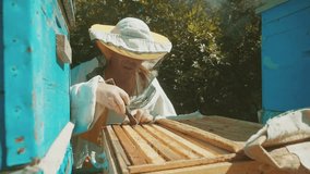 the beekeeper working in the apiary bees fly swarm multi colored beehive slow motion video. bee-maker beekeeper man working of a smoke pipe beeper wooden hives smoker device for repelling evil bees