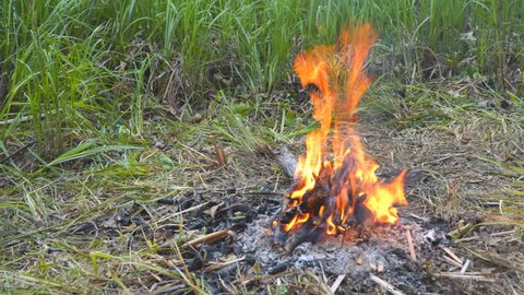 A small campfire burns