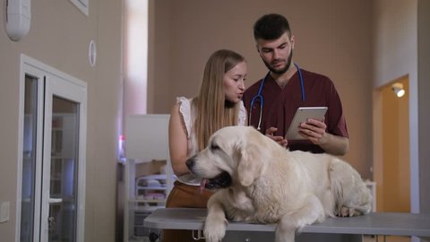 Young vet specialist holding digital tablet pc and talking with retriever dog owner at pet care clinic. Veterinarian showing x-ray, test results and discussing treatment plan with medication