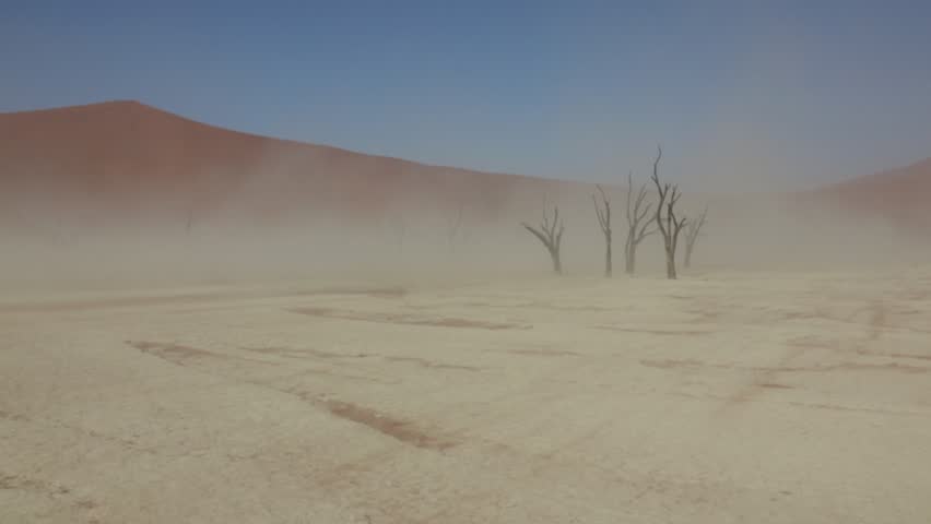 Sand and dust storm in deadvlei (Sossusvlei), famous natural landmark in Namib desert, Namibia, Africa Royalty-Free Stock Footage #1013396636