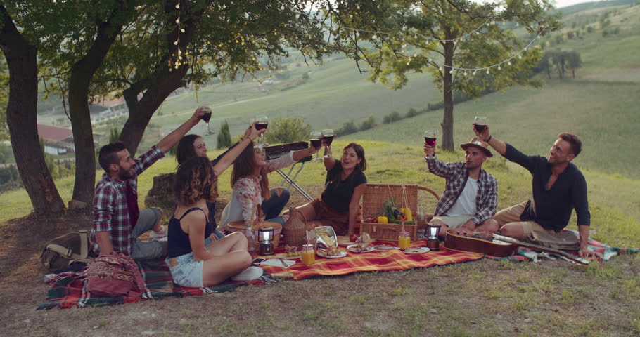 gruop of friends cheering togetherness during the pic nic. shot in slow motion Royalty-Free Stock Footage #1013400395