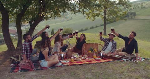 gruop of friends cheering togetherness during the pic nic. shot in slow motion