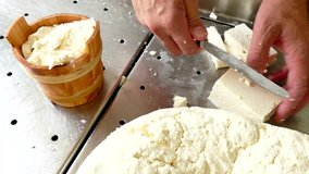 Process of cheese production in dairy factury, 4k Video Clip