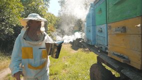 the beekeeper working in the apiary bees fly swarm multi colored beehive slow motion video. bee-maker beekeeper man working of a smoke pipe beeper wooden hives smoker device for repelling evil bees