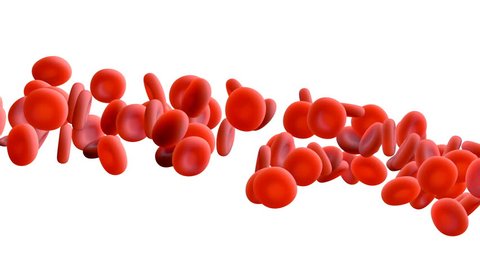 Red blood cells circulating in the blood vessels with Alpha Mask
