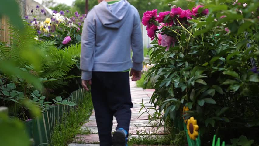 Flowering garden flowers. The child runs along the path along the flowers. Boy playing in the flower garden. Happy childhood