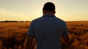 A young successful farmer walks the field of wheat against the backdrop of a sunset in a slow motion. The concept of harvesting