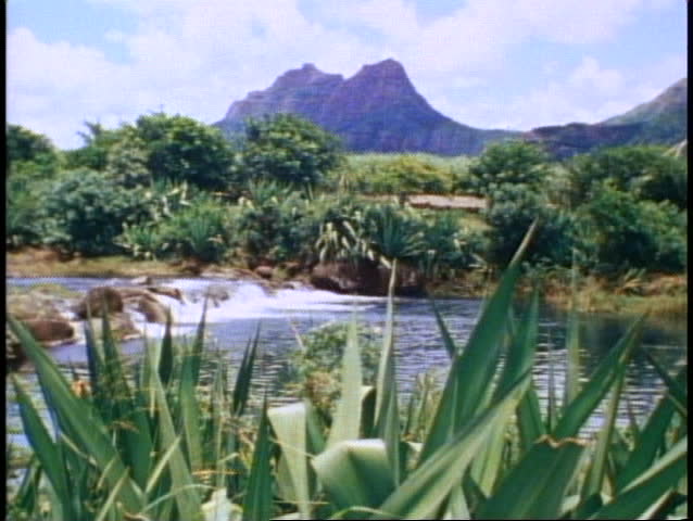 MAURITIUS, 1982, river, mountains in background, wide shot, tropical scene