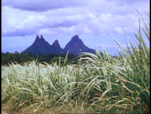 MAURITIUS, 1982, cane fields, craggy pointed mountains in background