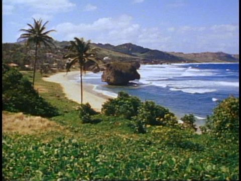 BARBADOS, 1982, Atlantic Ocean, surf crashing, tropical, palms