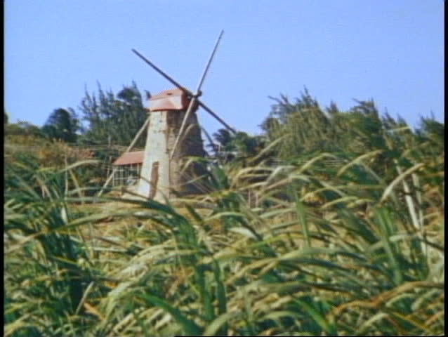 BARBADOS, 1982, sugar cane fields, old windmill, no people