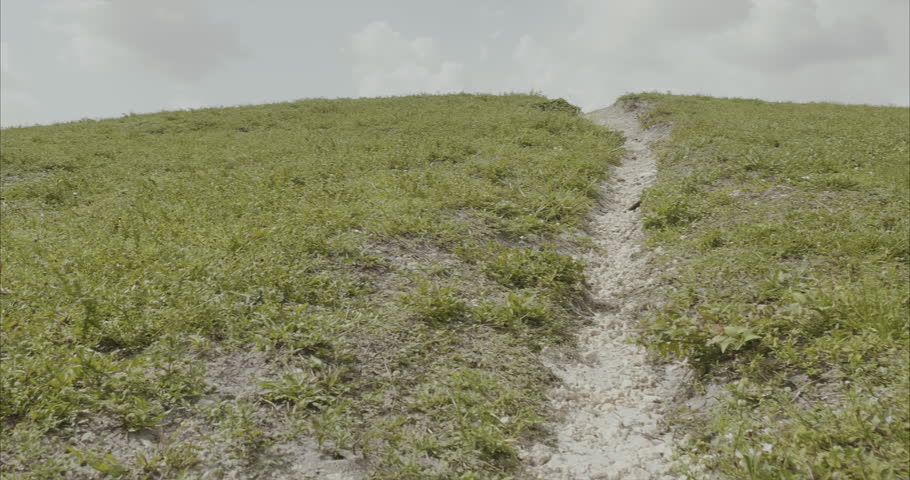 climbing view towards the top of a hill by a narrow path surrounded by grass reaching the top