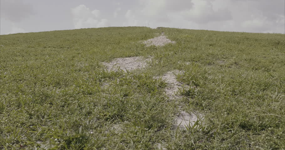 climbing view towards the top of a hill by a narrow path surrounded by grass reaching the top