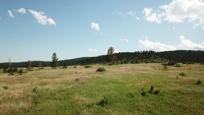 Rising mountain meadow flight over rolling South Dakota hills. Filmed in the Black Hills National Forest South Dakota.