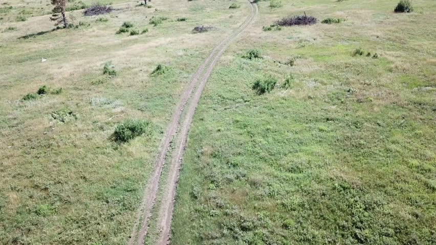 Travel down dirt road in rolling coniferous meadow, high-angle shot. Filmed in the Black Hills National Forest South Dakota.