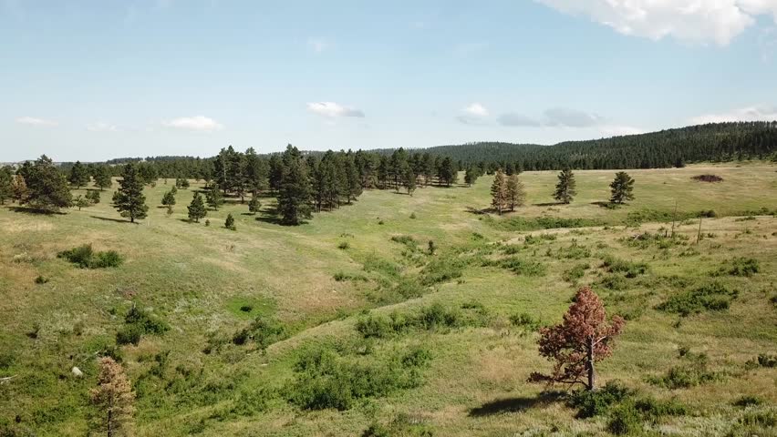 Mountain meadow flight over rolling South Dakota hills. Filmed in the Black Hills National Forest South Dakota.