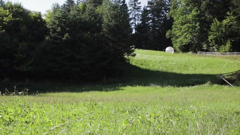 Zorbing from a Hill in Slovenia.