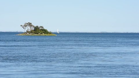 Small island with a mini forest on a sunny summer day. A sailboat passing behind it on the calm sea. Location Monsteras archipelago in Sweden.