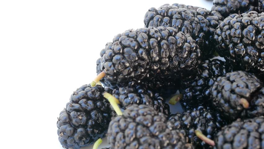 Juicy black mulberry.